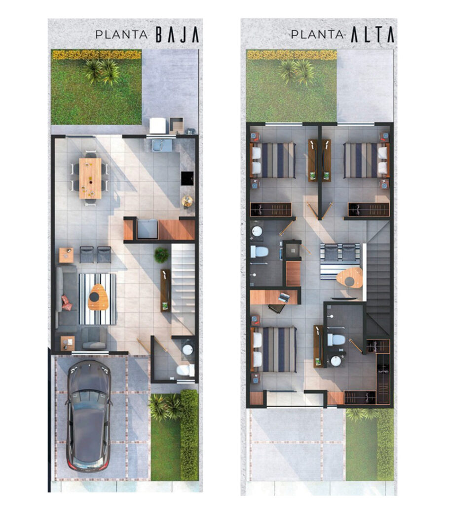 plano stella2